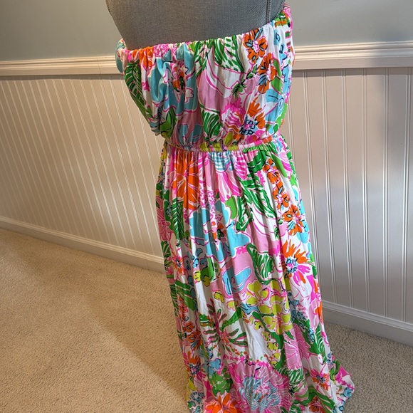 Lilly Pulitzer for Target Nosey Posey Maxi Dress sz 1X - Picture 2 of 10